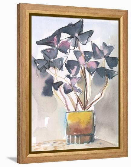 Oxalis in Vase II-Jennifer Parker-Framed Stretched Canvas