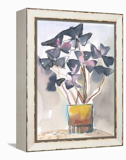 Oxalis in Vase II-Jennifer Parker-Framed Stretched Canvas