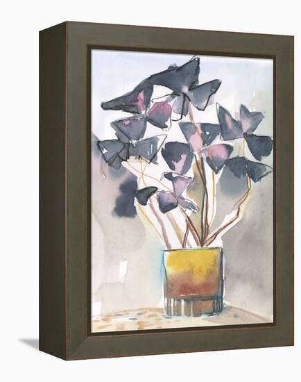 Oxalis in Vase II-Jennifer Parker-Framed Stretched Canvas