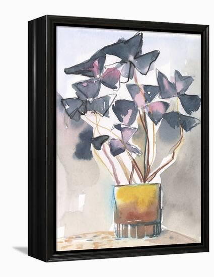 Oxalis in Vase II-Jennifer Parker-Framed Stretched Canvas