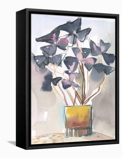 Oxalis in Vase II-Jennifer Parker-Framed Stretched Canvas