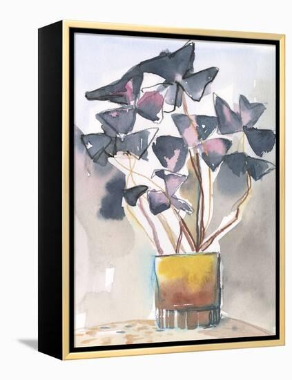 Oxalis in Vase II-Jennifer Parker-Framed Stretched Canvas