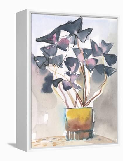 Oxalis in Vase II-Jennifer Parker-Framed Stretched Canvas