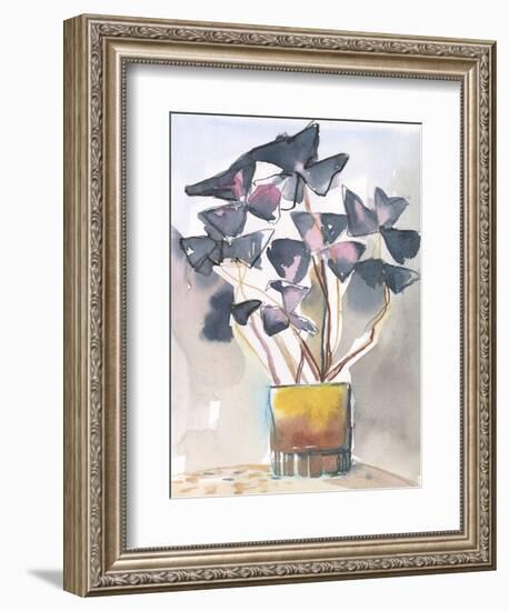 Oxalis in Vase II-Jennifer Parker-Framed Premium Giclee Print