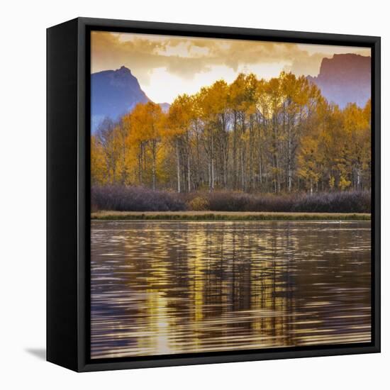 Oxbow bend at sunset, Grand Tetons National Park, Wyoming, USA-Maresa Pryor-Framed Premier Image Canvas