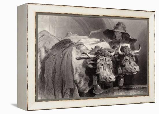 Oxen at the Tank, Geneva, Switzerland-Edwin Henry Landseer-Framed Premier Image Canvas