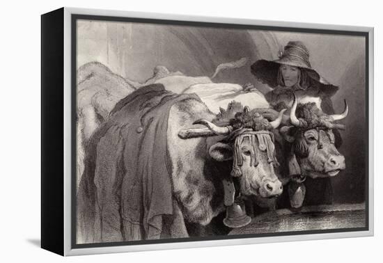 Oxen at the Tank, Geneva, Switzerland-Edwin Henry Landseer-Framed Premier Image Canvas