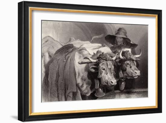 Oxen at the Tank, Geneva, Switzerland-Edwin Henry Landseer-Framed Giclee Print