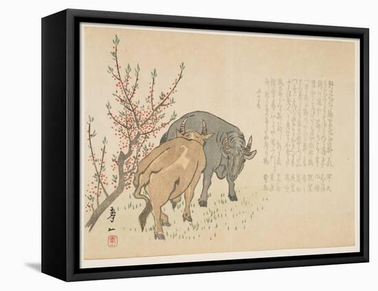 Oxen, January 1853-Yoshimura K?iitsu-Framed Premier Image Canvas