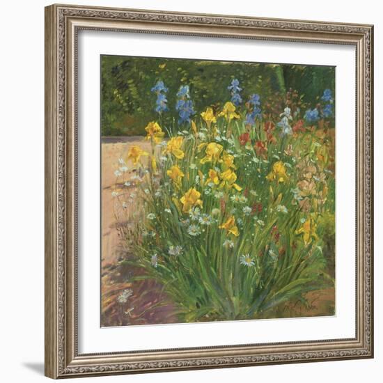 Oxeye Daisies Against the Irises-Timothy Easton-Framed Giclee Print