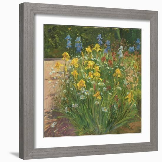 Oxeye Daisies Against the Irises-Timothy Easton-Framed Giclee Print