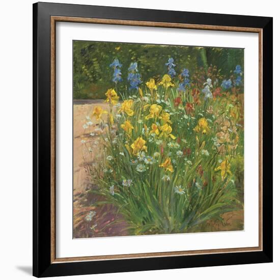 Oxeye Daisies Against the Irises-Timothy Easton-Framed Giclee Print