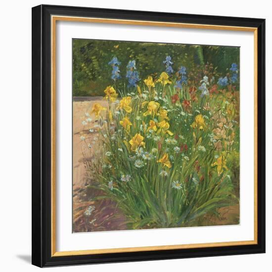 Oxeye Daisies Against the Irises-Timothy Easton-Framed Giclee Print