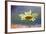 Oxeye Daisy Composite with Textured Background-Adam Jones-Framed Photographic Print