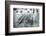 Oxford and Cambridge Boat Race, London, 1926-1927-Unknown-Framed Photographic Print