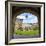 Oxford University College, Oxfordshire, England, United Kingdom, Europe-Matthew Williams-Ellis-Framed Photographic Print