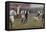 Oxford Versus Cambridge-S.t. Dadd-Framed Premier Image Canvas