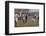 Oxford Versus Cambridge-S.t. Dadd-Framed Photographic Print