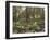 Oxlips flowering in coppice woodland, Suffolk, England-Andy Sands-Framed Photographic Print