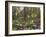 Oxlips flowering in coppice woodland, Suffolk, England-Andy Sands-Framed Photographic Print