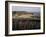 Oxwich Bay, Gower Peninsula, West Glamorgan, Wales, United Kingdom-Julia Bayne-Framed Photographic Print