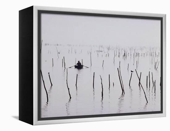 Oyster Beds, Arcachon, Gironde, Aquitaine, France-Adam Woolfitt-Framed Premier Image Canvas