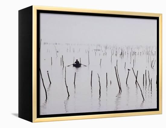 Oyster Beds, Arcachon, Gironde, Aquitaine, France-Adam Woolfitt-Framed Premier Image Canvas