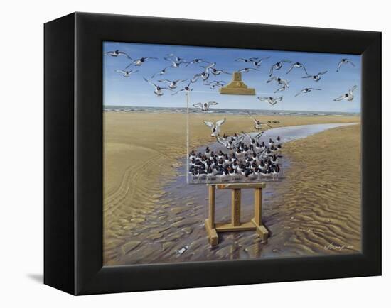 Oyster Catchers-Harro Maass-Framed Premier Image Canvas