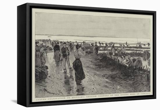 Oyster Cultivation in Brittany, English Visitors at the Oyster Beds at Cancale-null-Framed Premier Image Canvas