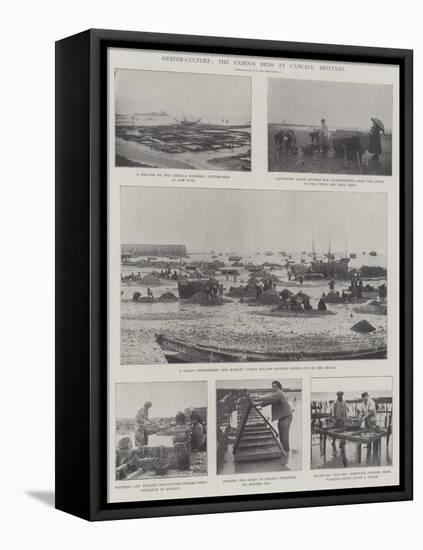 Oyster-Culture, the Famous Beds at Cancale, Brittany-null-Framed Premier Image Canvas