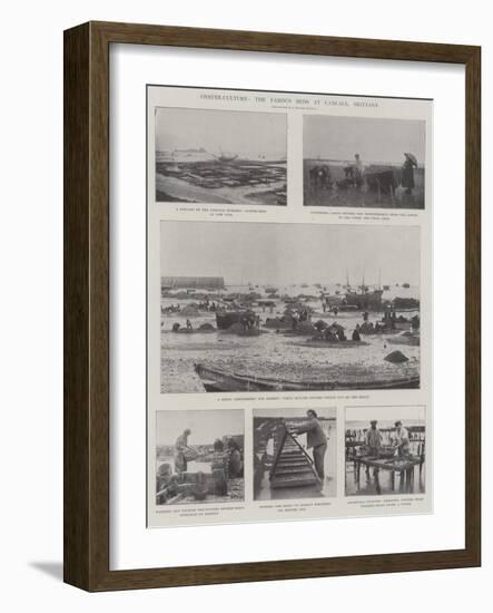 Oyster-Culture, the Famous Beds at Cancale, Brittany-null-Framed Giclee Print