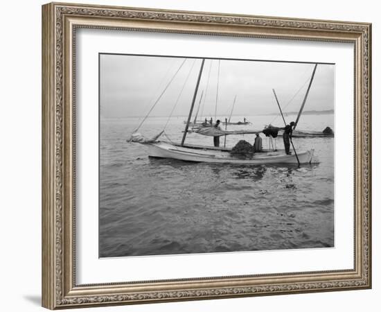 Oyster Dredging. C.1890-1910-William Henry Jackson-Framed Photographic Print