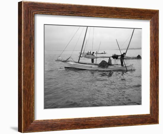 Oyster Dredging. C.1890-1910-William Henry Jackson-Framed Photographic Print