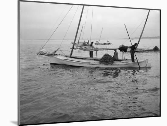 Oyster Dredging. C.1890-1910-William Henry Jackson-Mounted Photographic Print