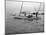 Oyster Dredging. C.1890-1910-William Henry Jackson-Mounted Photographic Print