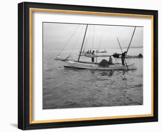 Oyster Dredging. C.1890-1910-William Henry Jackson-Framed Photographic Print