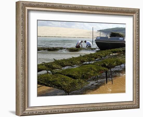 Oyster Fishermen Grading Oysters, Bay of Arcachon, Gironde, Aquitaine, France-Groenendijk Peter-Framed Photographic Print