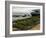 Oyster Fishermen Grading Oysters, Bay of Arcachon, Gironde, Aquitaine, France-Groenendijk Peter-Framed Photographic Print