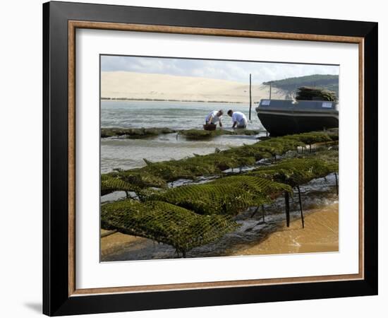 Oyster Fishermen Grading Oysters, Bay of Arcachon, Gironde, Aquitaine, France-Groenendijk Peter-Framed Photographic Print