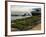 Oyster Fishermen Grading Oysters, Bay of Arcachon, Gironde, Aquitaine, France-Groenendijk Peter-Framed Photographic Print