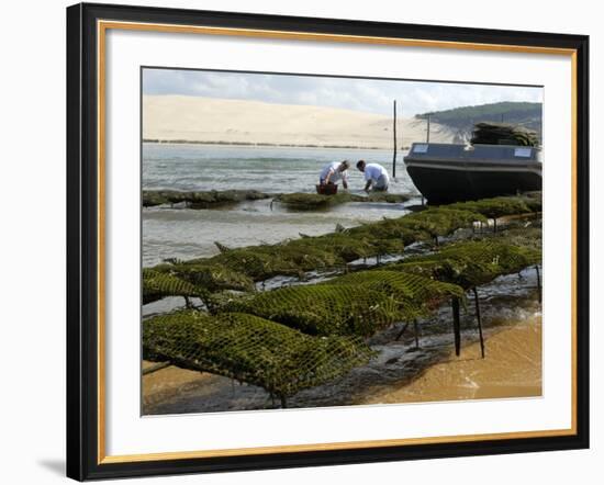 Oyster Fishermen Grading Oysters, Bay of Arcachon, Gironde, Aquitaine, France-Groenendijk Peter-Framed Photographic Print