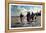 Oyster Gatherers of Cancale-John Singer Sargent-Framed Stretched Canvas