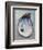 Oyster Love-Jeanette Vertentes-Framed Premium Giclee Print