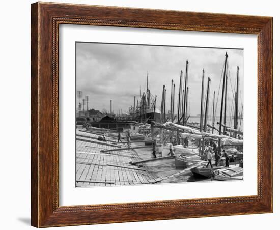 Oyster Luggers, New Orleans, La.-null-Framed Photo