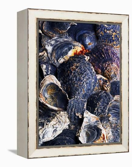 Oyster Shells-Hermann Mock-Framed Premier Image Canvas