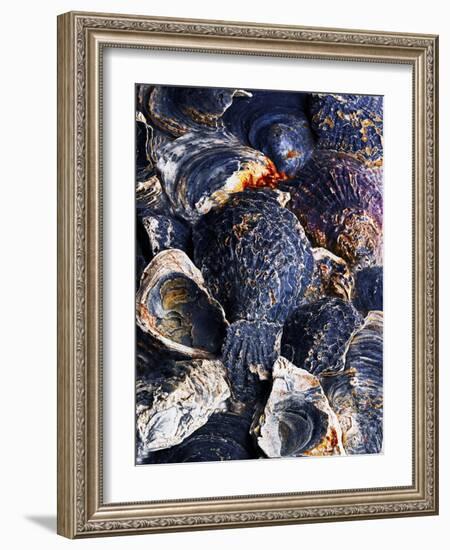 Oyster Shells-Hermann Mock-Framed Photographic Print