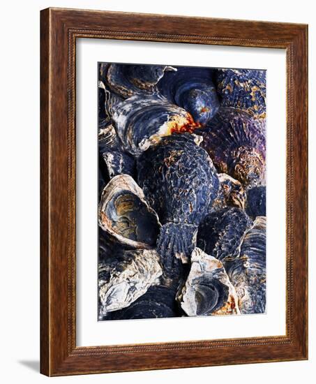 Oyster Shells-Hermann Mock-Framed Photographic Print