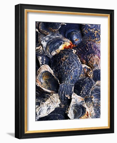 Oyster Shells-Hermann Mock-Framed Photographic Print