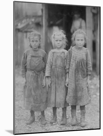 Oyster Shucker Girls in South Carolina Photograph - Port Roy, SC-Lantern Press-Mounted Art Print