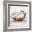 Oyster Study I-Ethan Harper-Framed Art Print